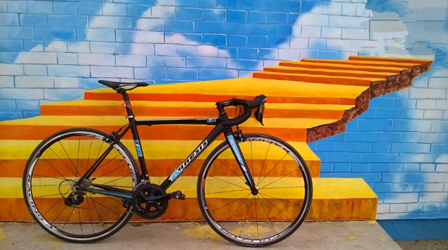 Наружная рамка велосипеда скандия трассы кабелей, рамка велосипеда углерода 53км полная