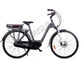 Китай Шаг города черный до изготовленный на заказ электрический велосипед 250в 120 Кг емкости нагрузки экспортер